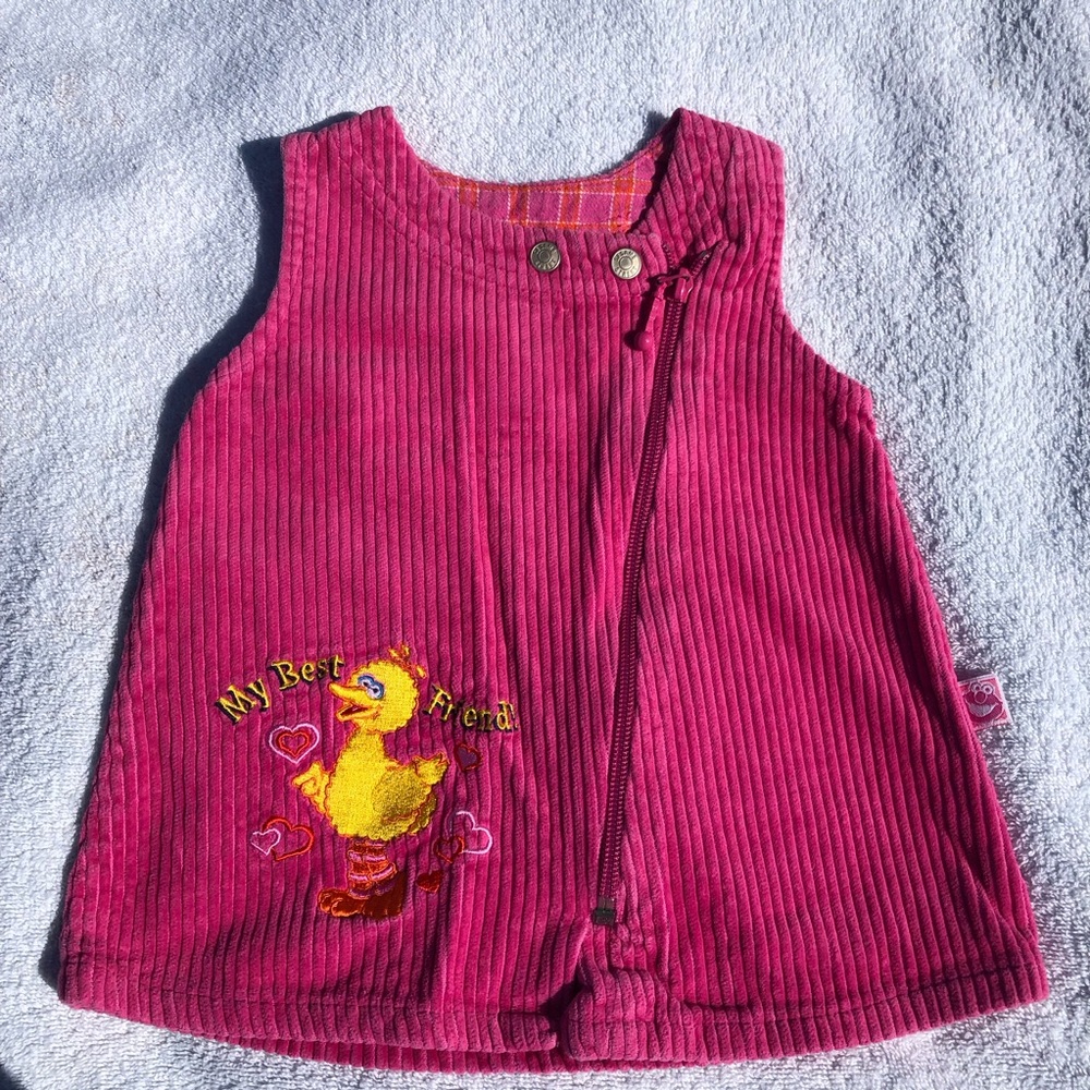 Vintage Sesame Street Big Bird dress